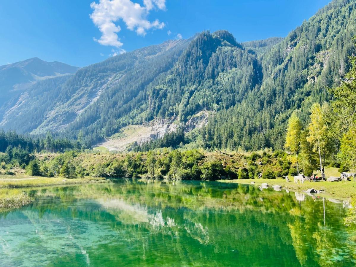 Apartment Weitblick Wald im Pinzgau Luaran gambar
