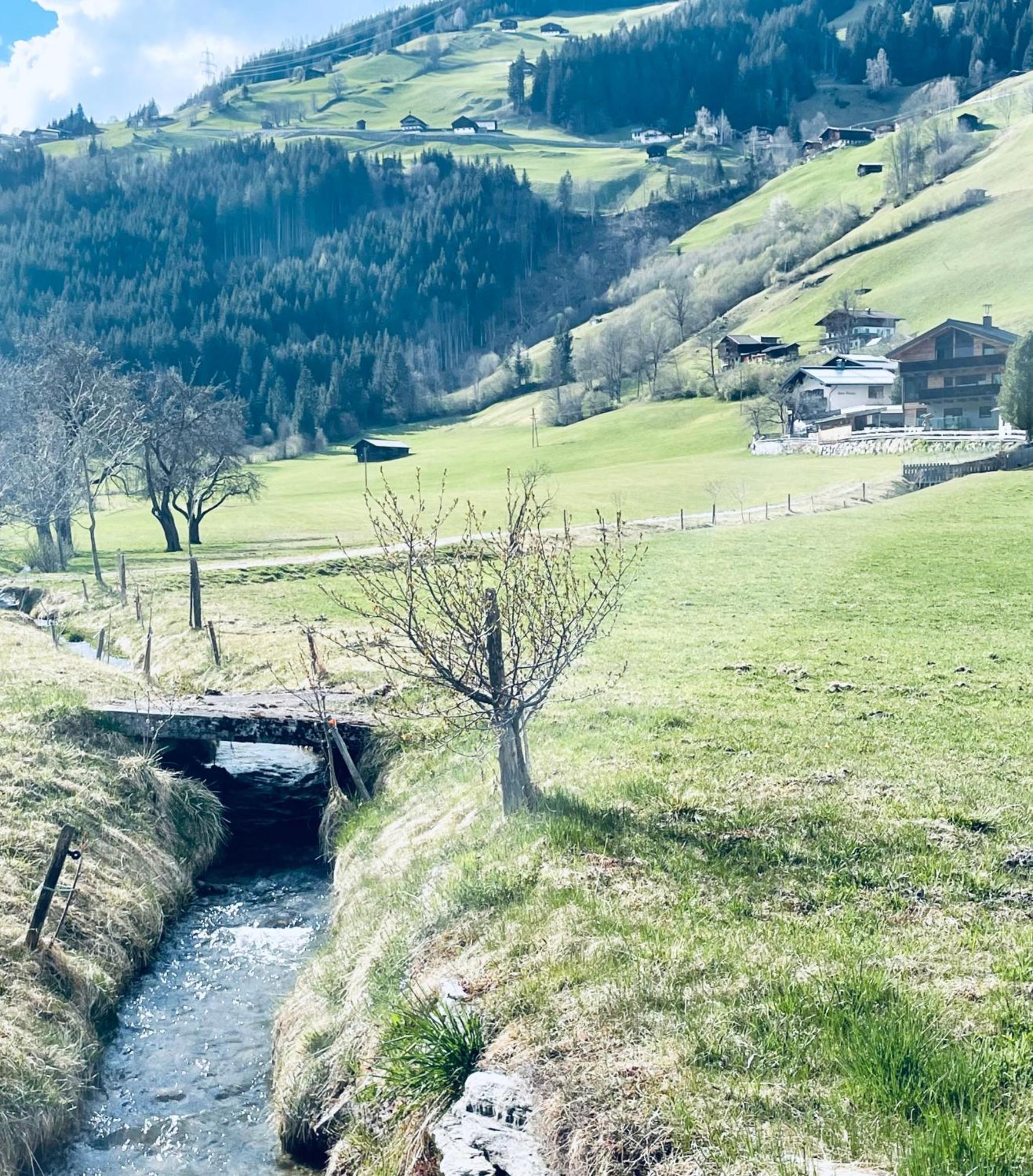 Apartment Weitblick Wald im Pinzgau Luaran gambar